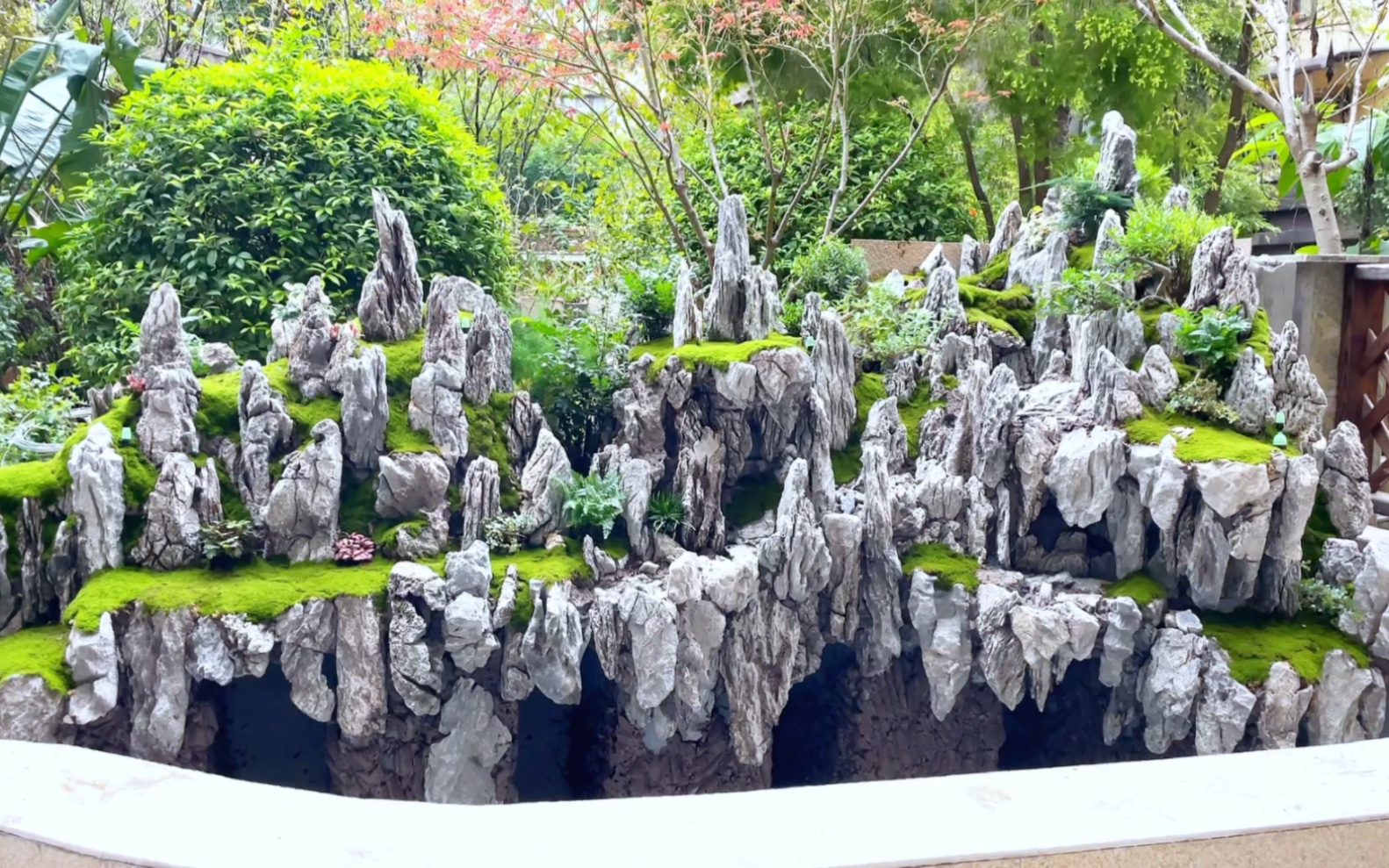 庭院青龙石水陆景观定植调试完成