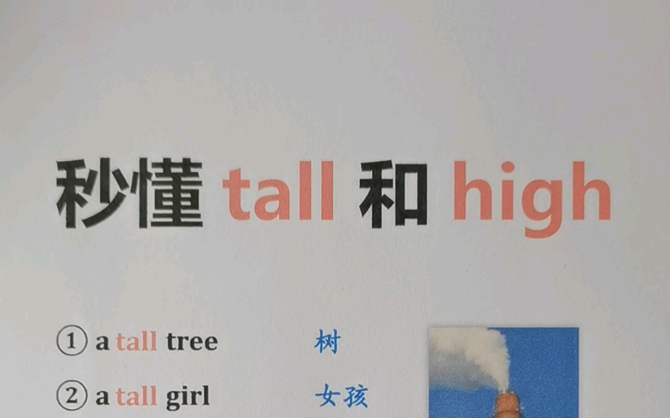 秒懂tall和high的真正区别哔哩哔哩bilibili