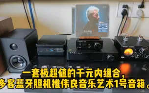 一套极超值的千元内组合，多客蓝牙胆机推伟良音乐艺术1号音箱。