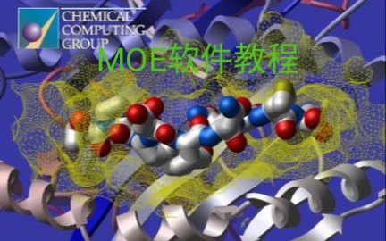 moe软件教程(该教程是up主从油管搬运回来的,喜欢的话请三连,我会继续搬运的哦)哔哩哔哩bilibili