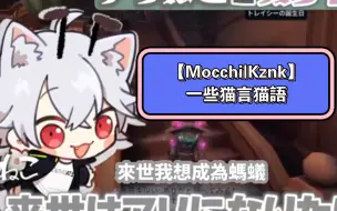 Download Video: 【Mocchi|Kznk】一些猫言猫語