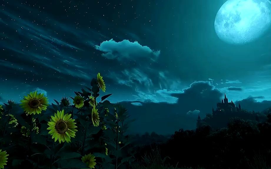 你的眼睛里有星辰大海,里面揉碎了的日月星河,胜过我看过的所有春花