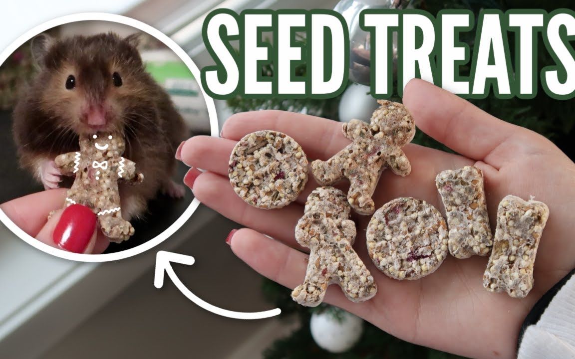 [victoria]制作仓鼠零食饼干