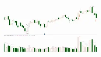 出现“倍量阳缩量阴”这种k线组合，即将进入主升浪！