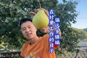 下载视频: 偏远乡镇编：在村里工作的快乐，朋友是村里的，水果是村民种的，蜂蜜也是他们采的