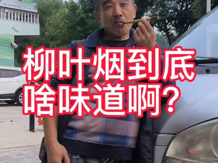 叶子烟到底是什么味道啊?为什么这么多人喜欢抽呢?哔哩哔哩bilibili