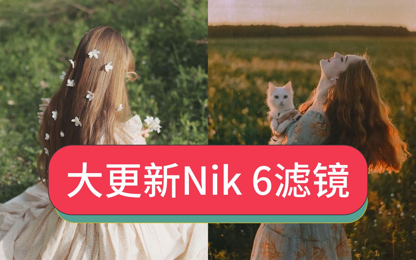 大版本升级最新版本ps滤镜Nik Collection 6.0中文版2023胶片模拟nik滤镜ps后期人像处理插件Win和Mac版m1芯片下载哔哩哔哩bilibili