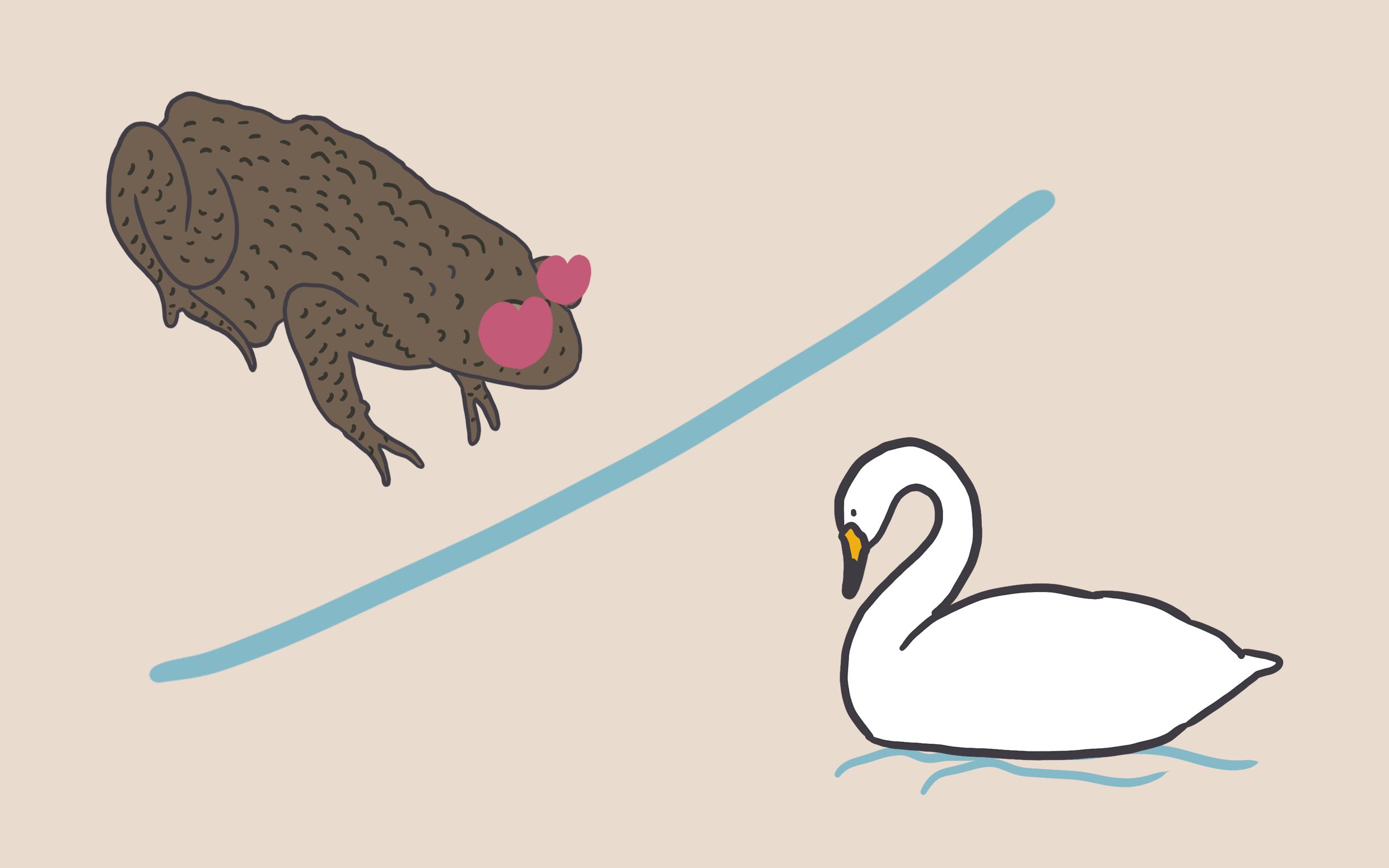 "癞蛤蟆想吃天鹅肉"趣谈