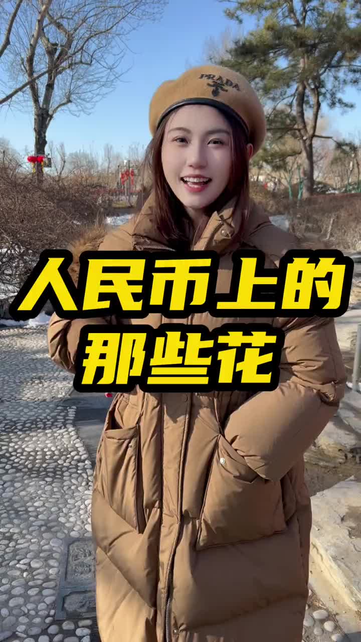 人民币上的花都是什么花?您都知道吗?哔哩哔哩bilibili