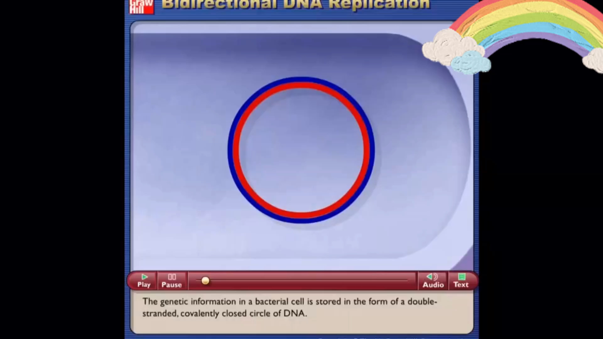 环状DNA复制哔哩哔哩bilibili