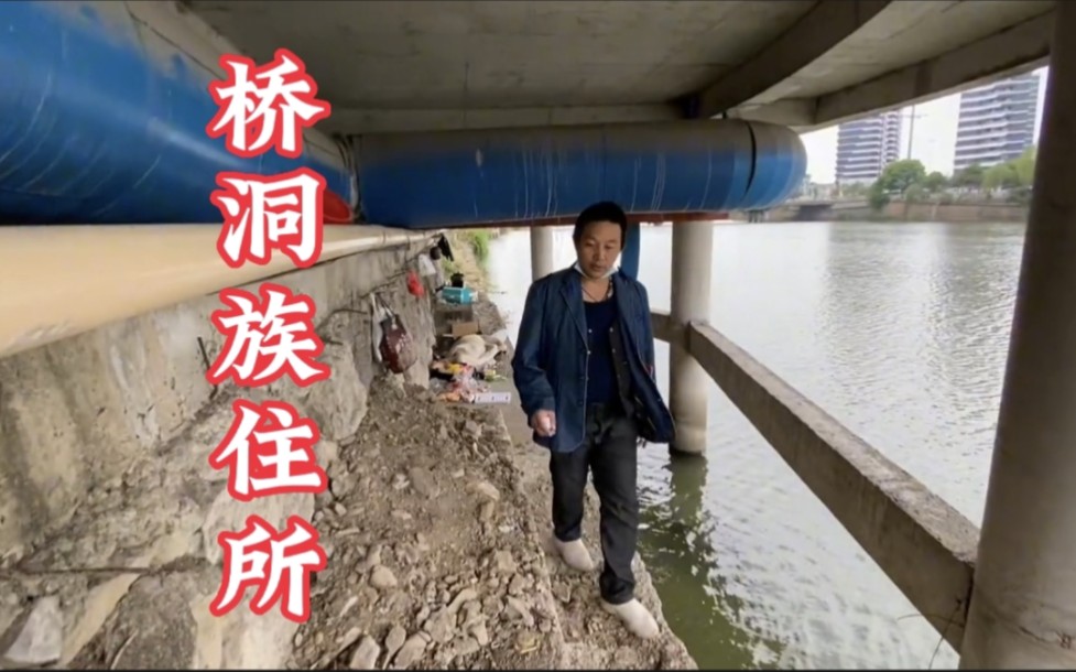 桥洞族为省房租住在桥底,住这里生活无压力,一辈子不用交房租