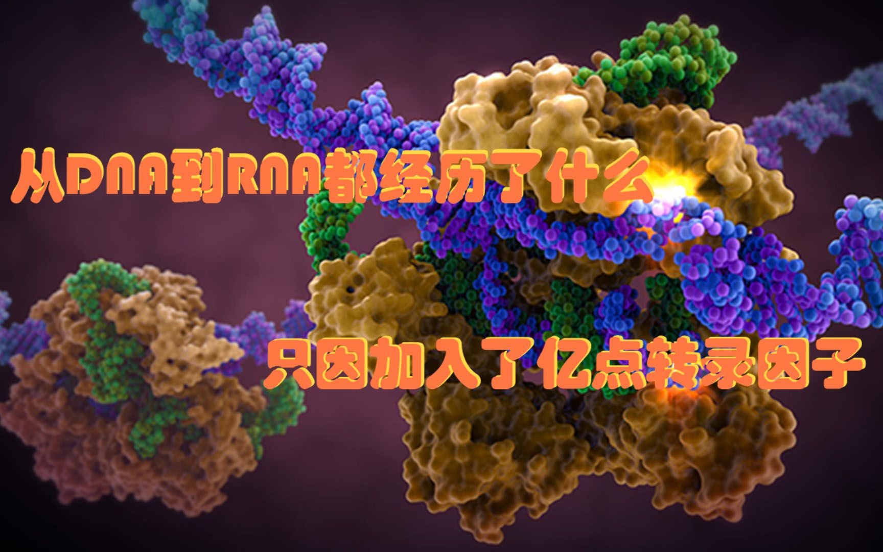 【研究故事】是什么让转录过程这么复杂,是浩如烟海的转录因子哔哩哔哩bilibili