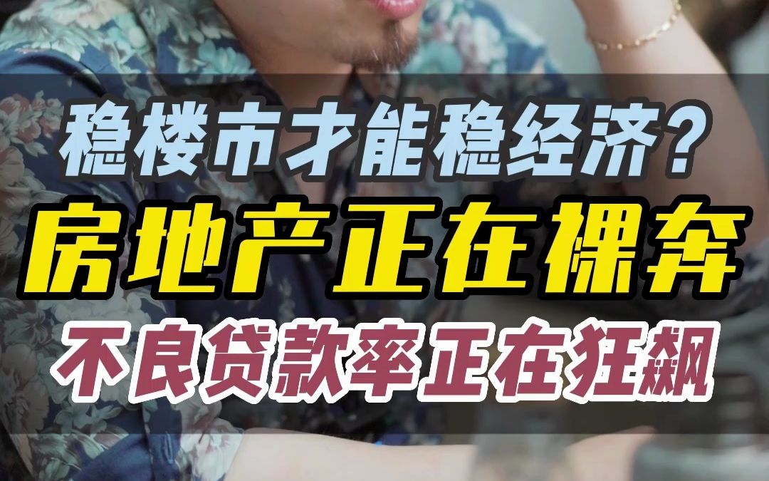 稳楼市才能稳经济?房地产正在裸奔 不良贷款率正在狂飙哔哩哔哩bilibili