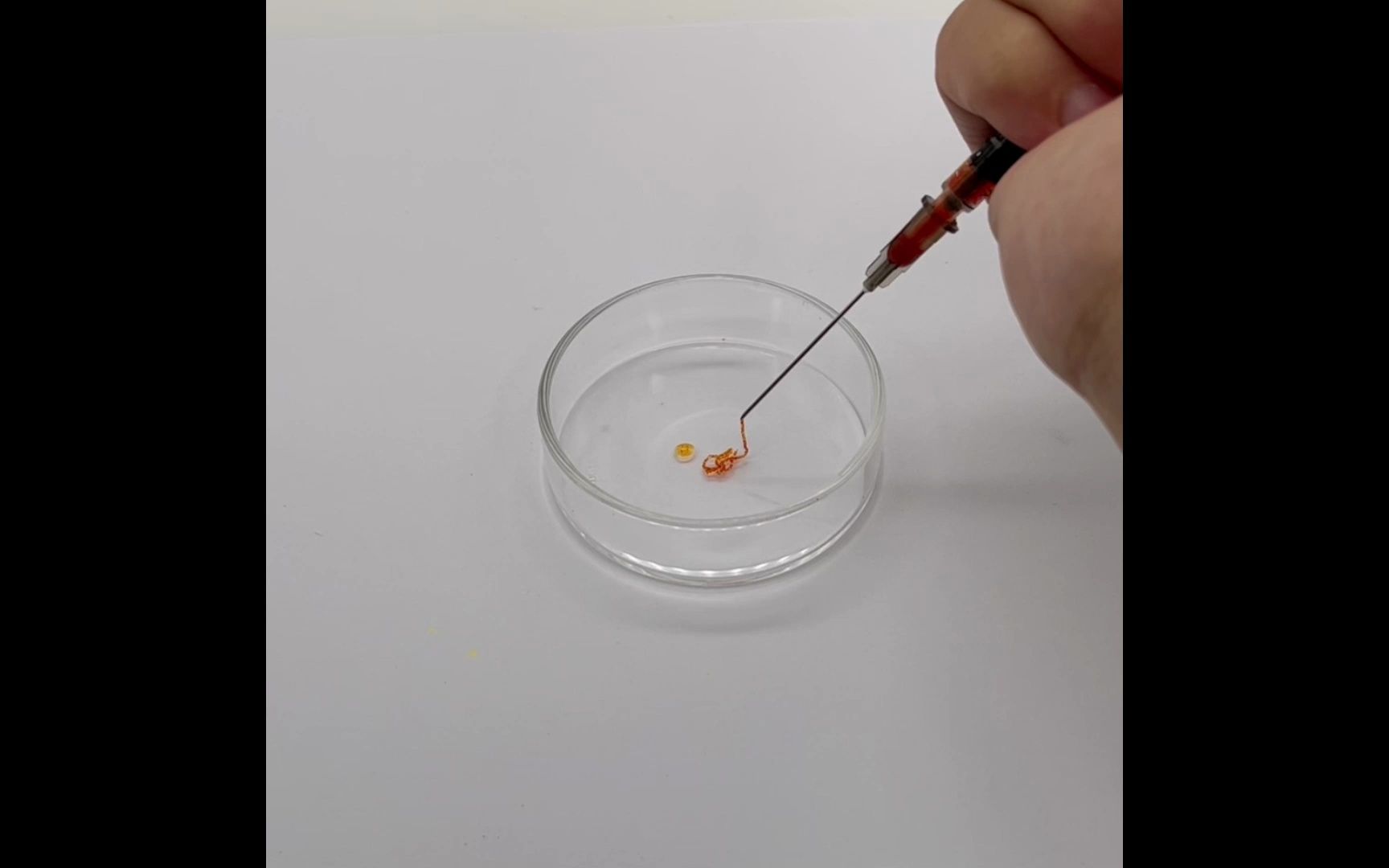 自组装微球水凝胶支架用于糖尿病伤口的药物释放和光热治疗