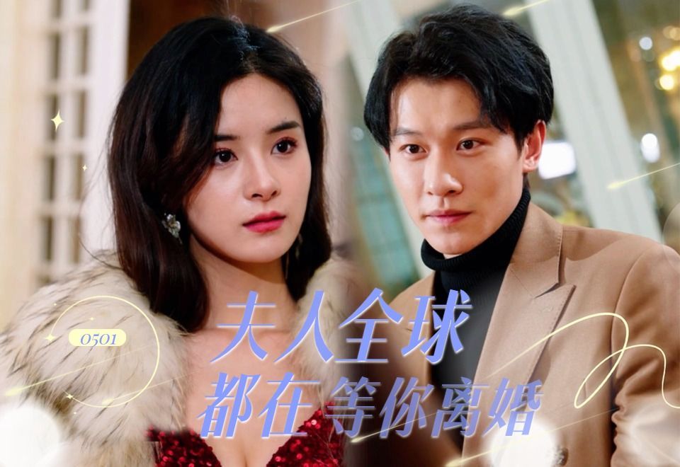 《夫人,全球都在等你离婚》第2集哔哩哔哩bilibili