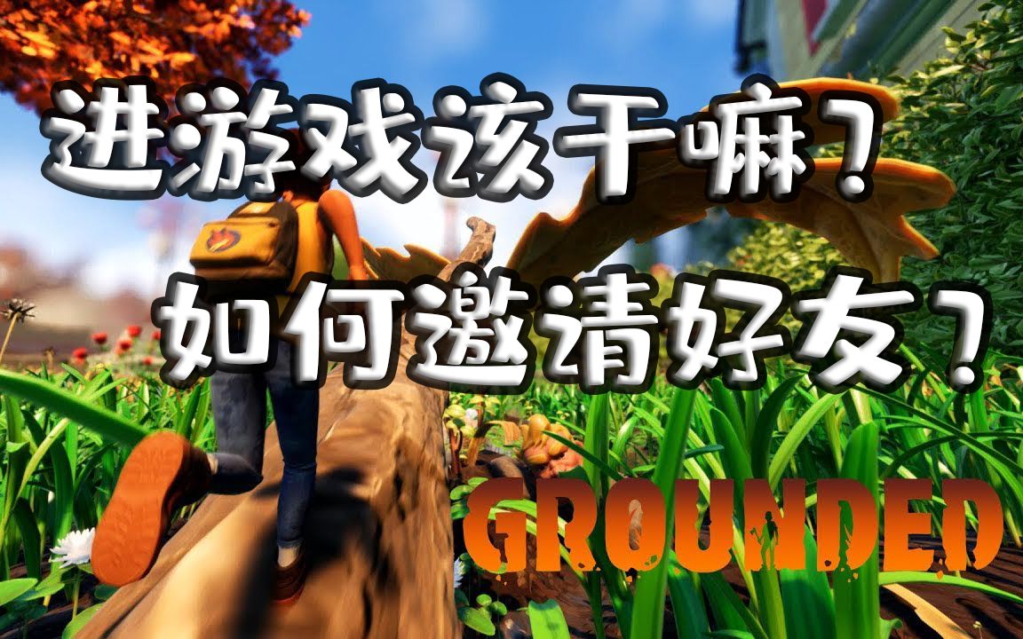 grounded禁闭求生新手教程前期流程如何与好友一起玩