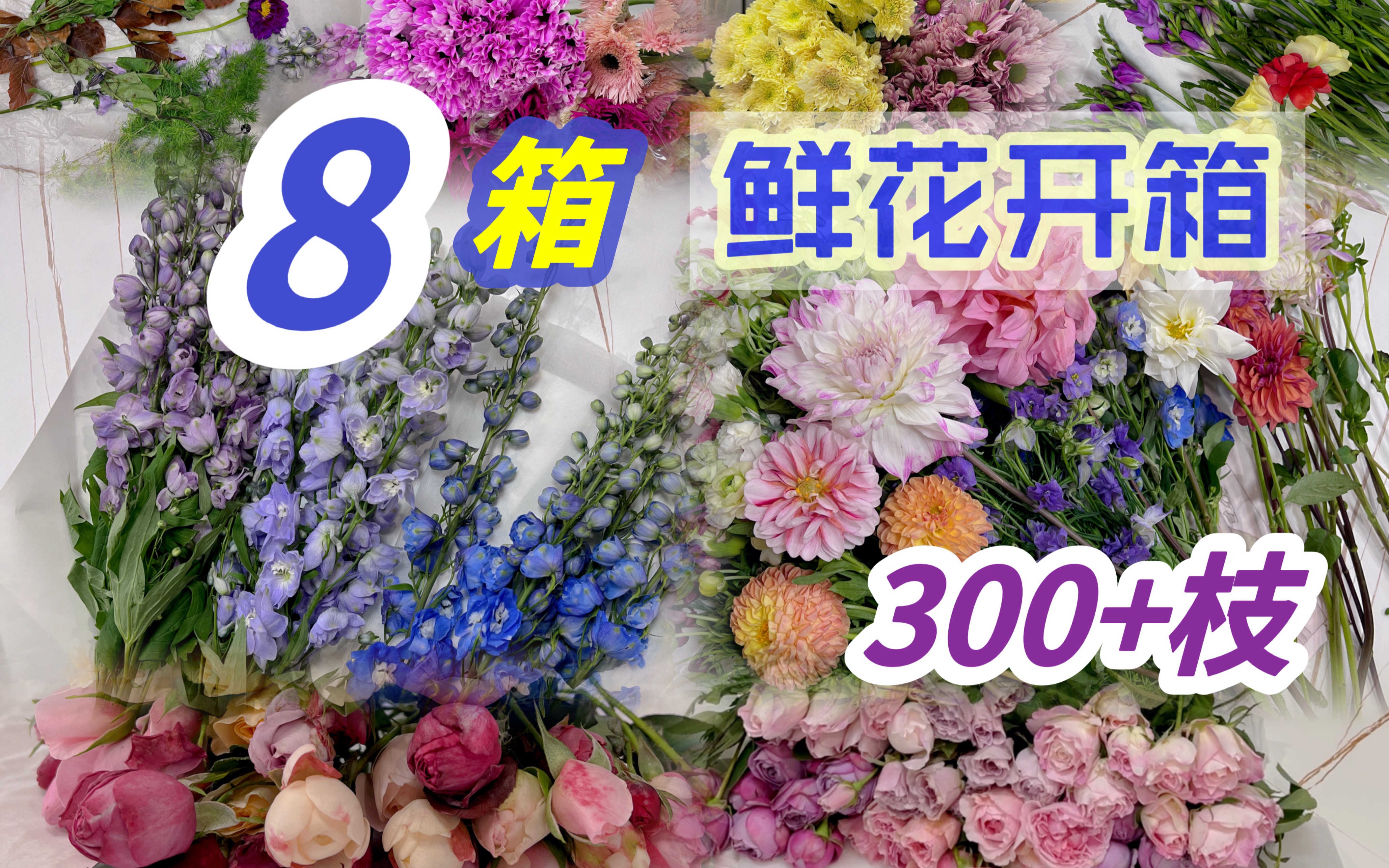 8箱鲜花,多达近300枝的鲜花开箱终于又来啦!哔哩哔哩bilibili