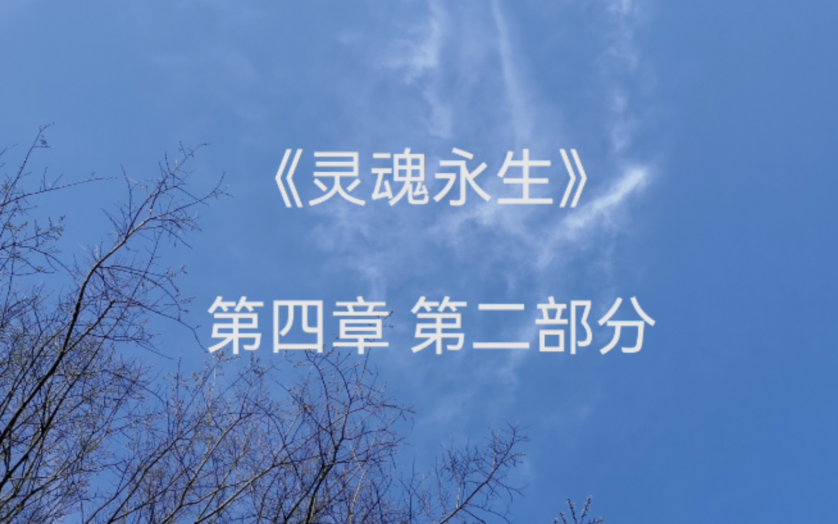 读书连载 - 赛斯书《灵魂永生》第四章 转世剧 ii