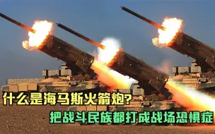 Video herunterladen: 什么是海马斯火箭炮？把战斗民族都打成战场恐惧症，威力太大了