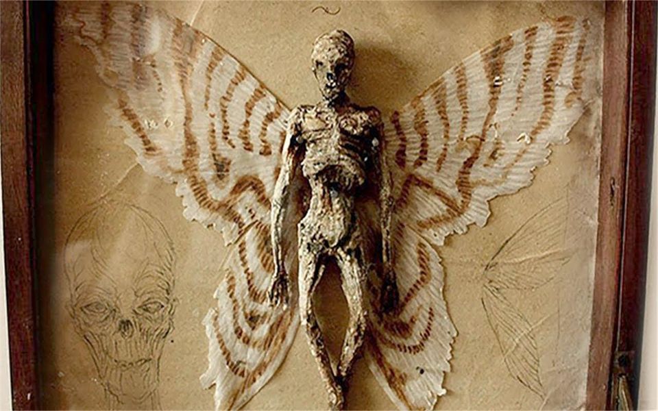 6个在地下室发现的最可怕的东西废弃地下室发现神秘雕像