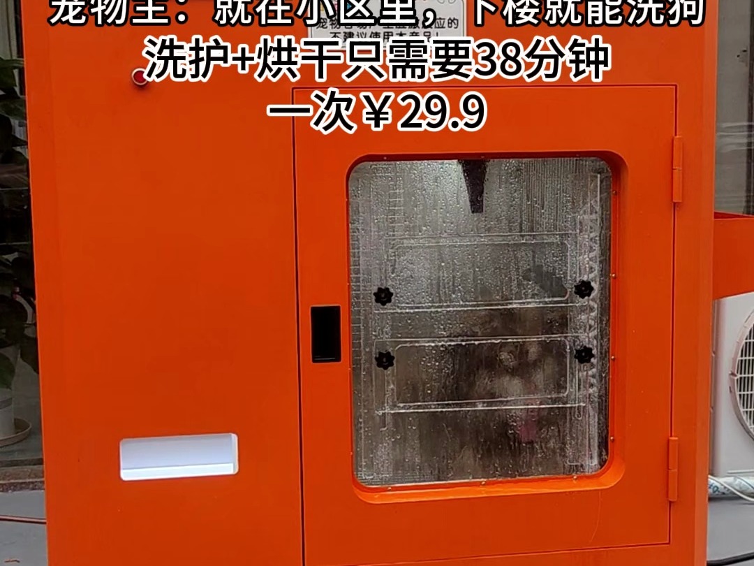 牧小主无人自助洗宠机让宠物洗澡变得简单又轻松!