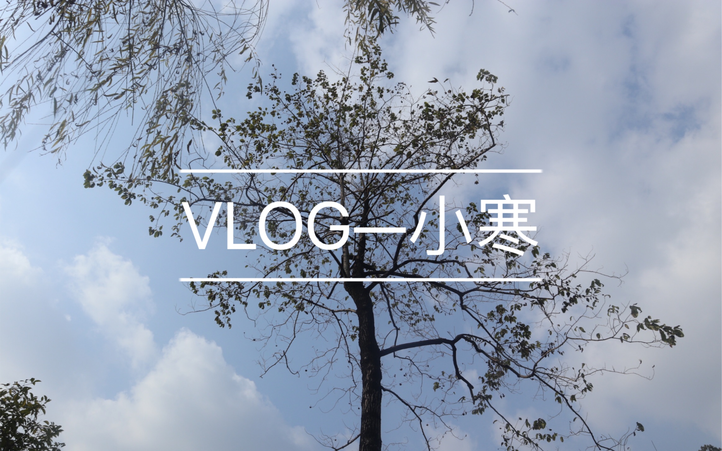 vlog小寒放鬆的一天記錄生活