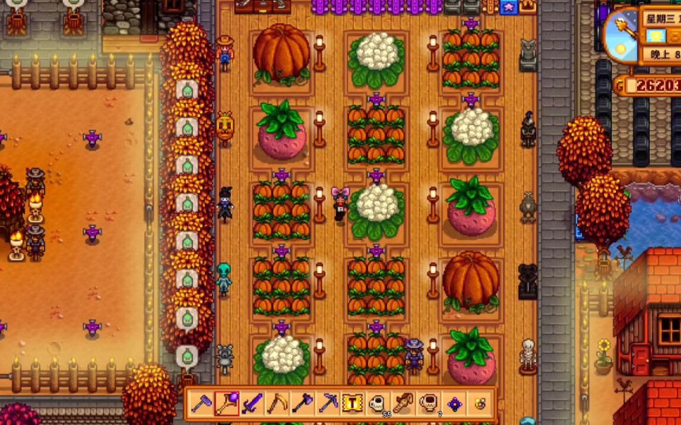 星露谷物语标准农场布局留念