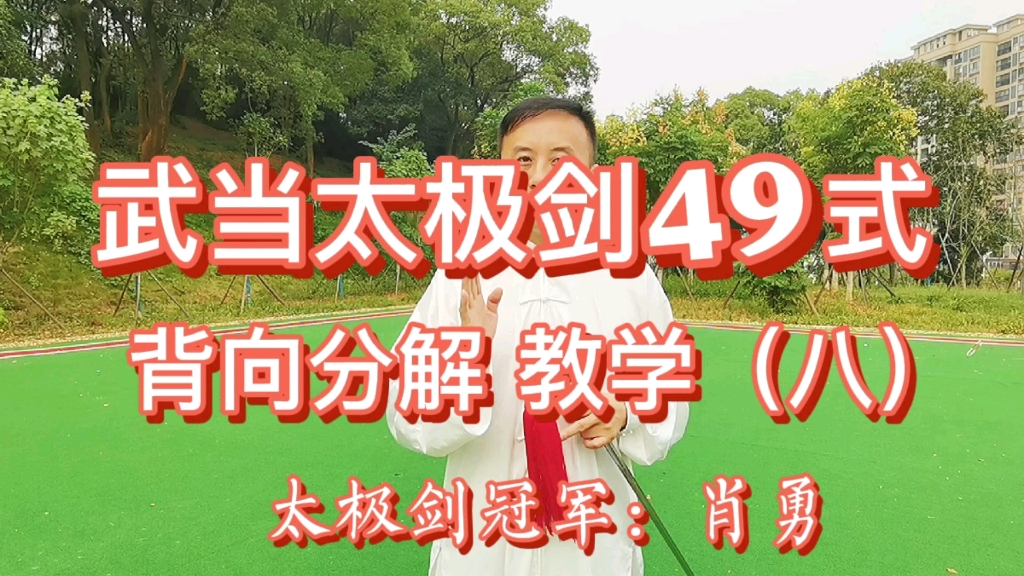 吴阿敏49式武当剑教学图片