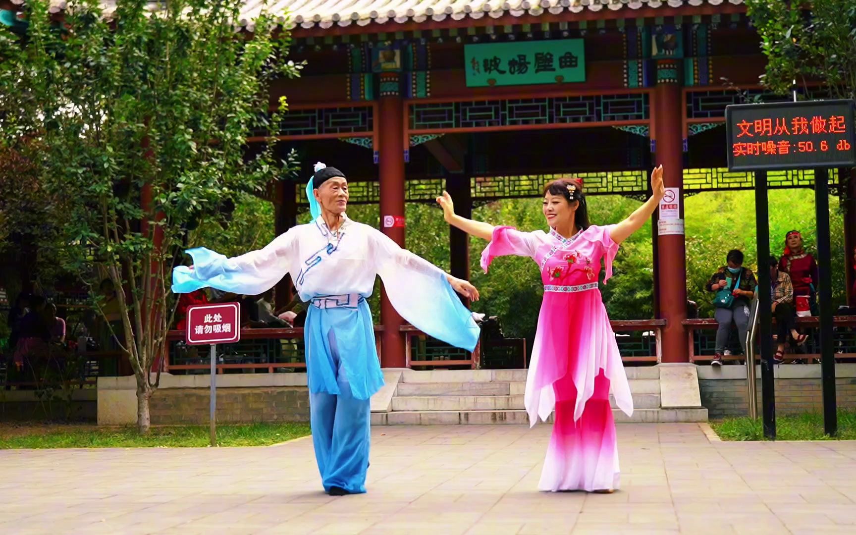 广场舞《梁祝》双人版,舞姿优美,好听好看