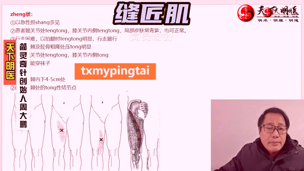 缝匠肌——大腿内侧痛,不能穿袜子!