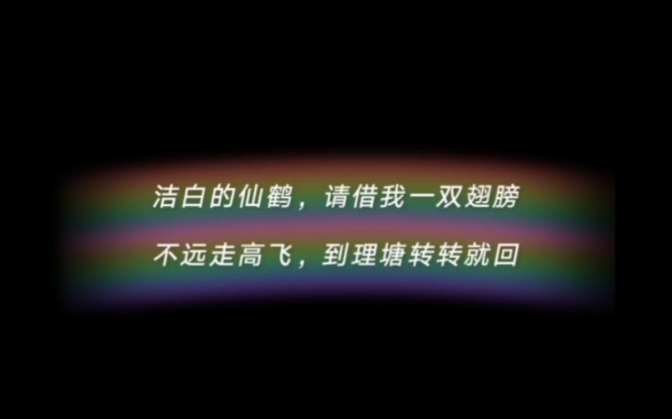 丁真 洁白的仙鹤 清唱合集哔哩哔哩bilibili