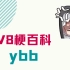 【V吧梗百科】ybb