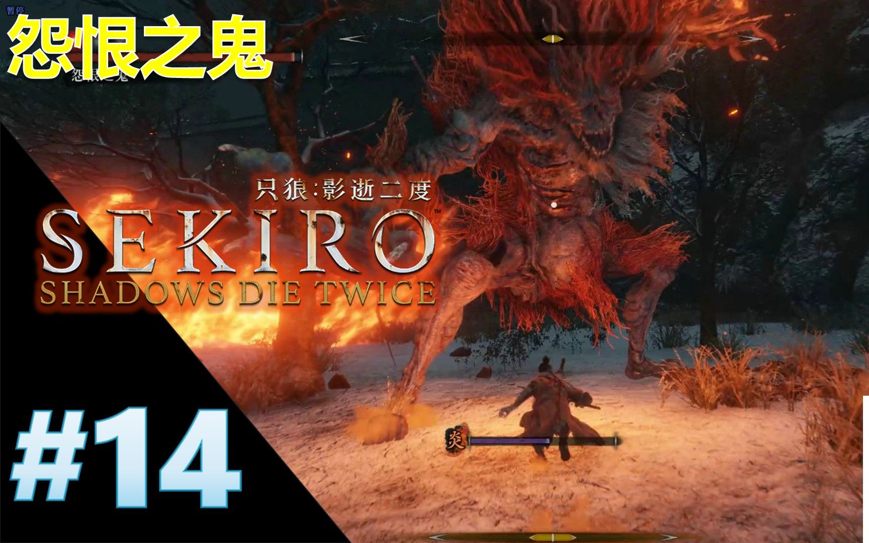 只狼影逝二度全流程14精英怪合集支线怨恨之鬼赤备重吉孤影众