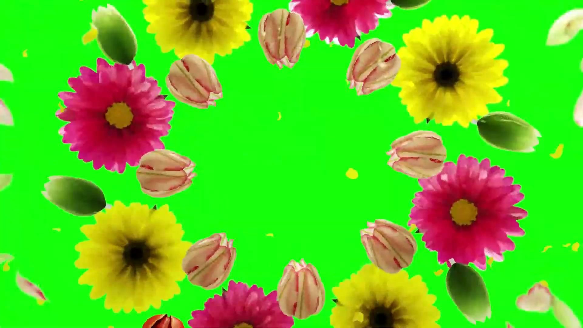 绿幕视频素材花环
