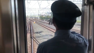 跟老司机学开车 Jr西日本京都线新快速 大阪 京都 大阪出发 哔哩哔哩 つロ干杯 Bilibili