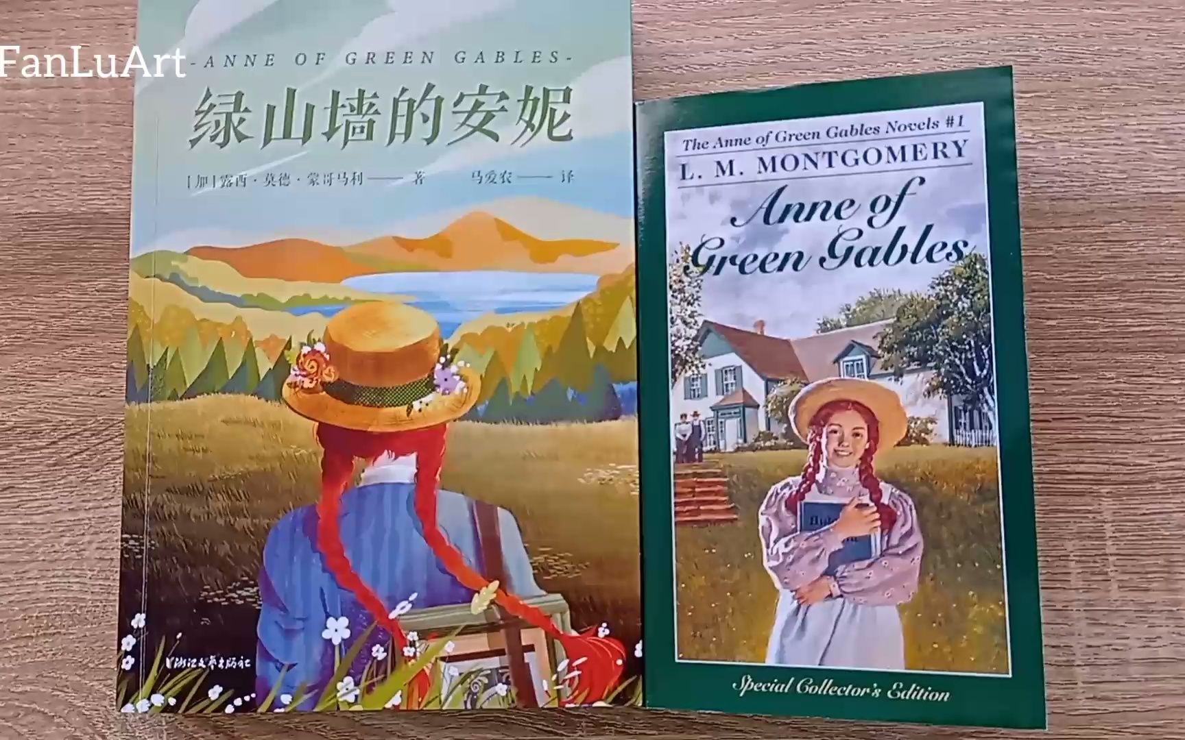 FanLuArt在线双语绘画课程系列 | 读书绘儿童文学 《绿山墙的安妮》 Anne of Green Gables |哔哩哔哩bilibili