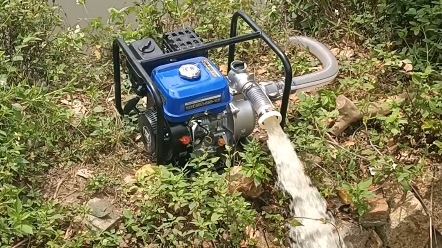 今天花500块包了个小鱼塘现在开始抽水今天能盘鱼塘老板成功吗傍晚就