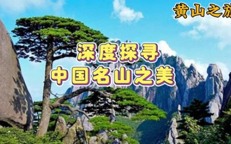 【锦绣山河】—黄山,深度探寻中国名山之美哔哩哔哩bilibili