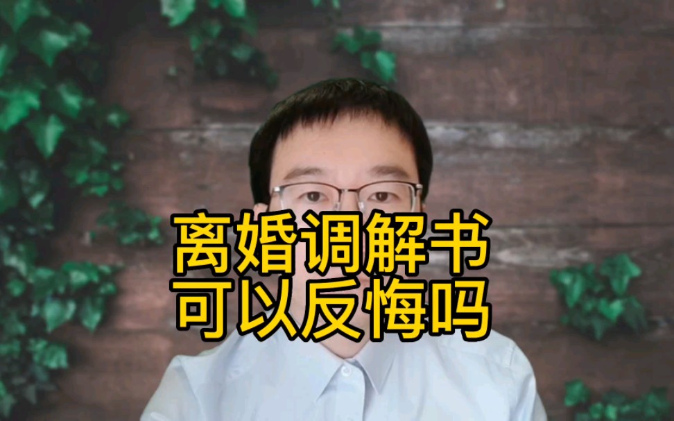 离婚调解书可以反悔吗?哔哩哔哩bilibili