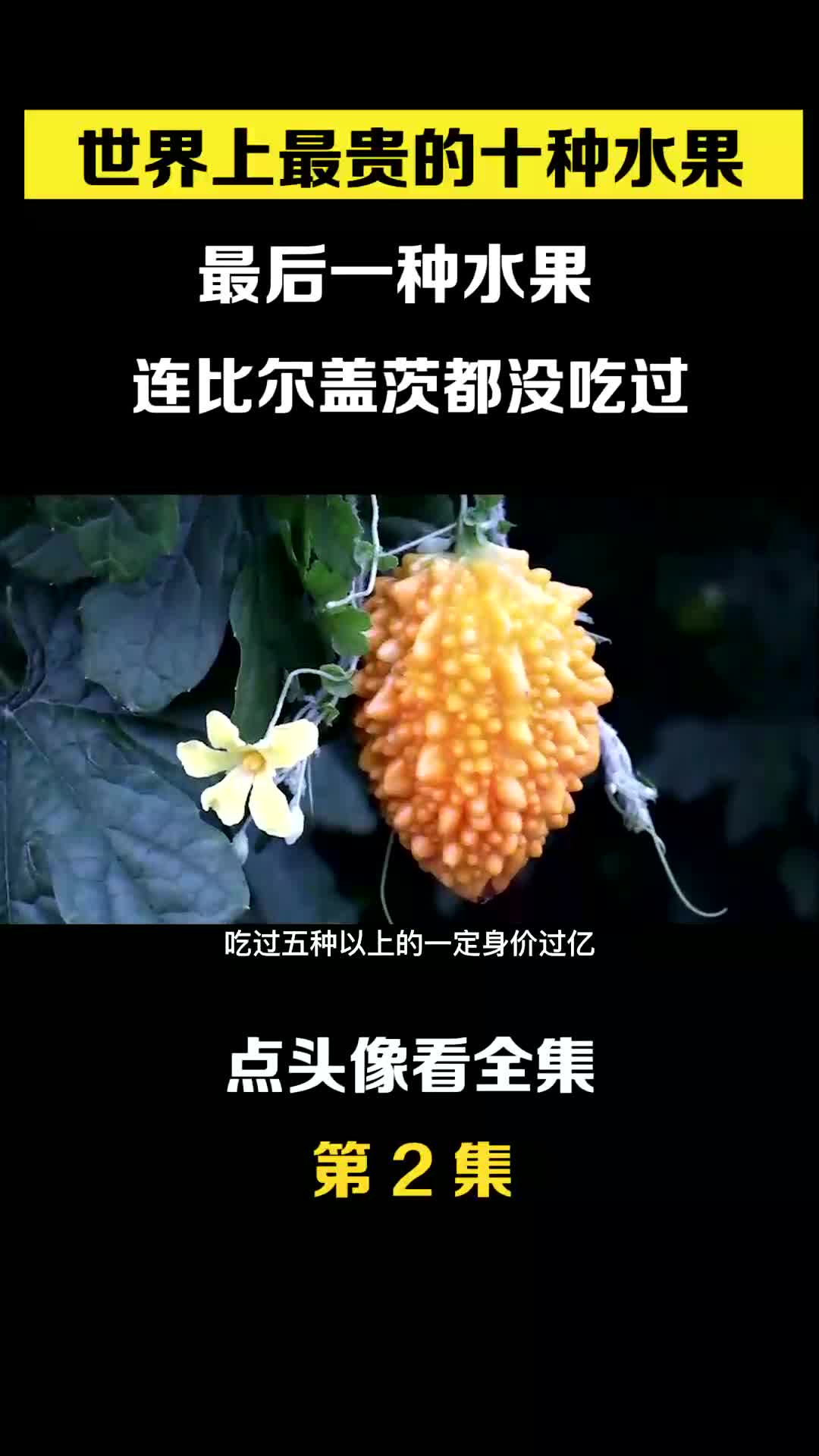 中国最贵的水果图片