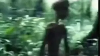 丛林类人生物 攻击人类 视频
