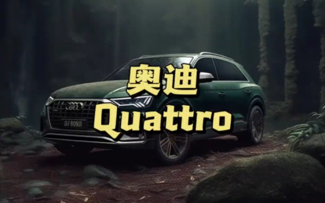 奥迪的封神名场面,看完你就知道quatrro有多强了#奥迪 #quattro哔哩哔哩bilibili