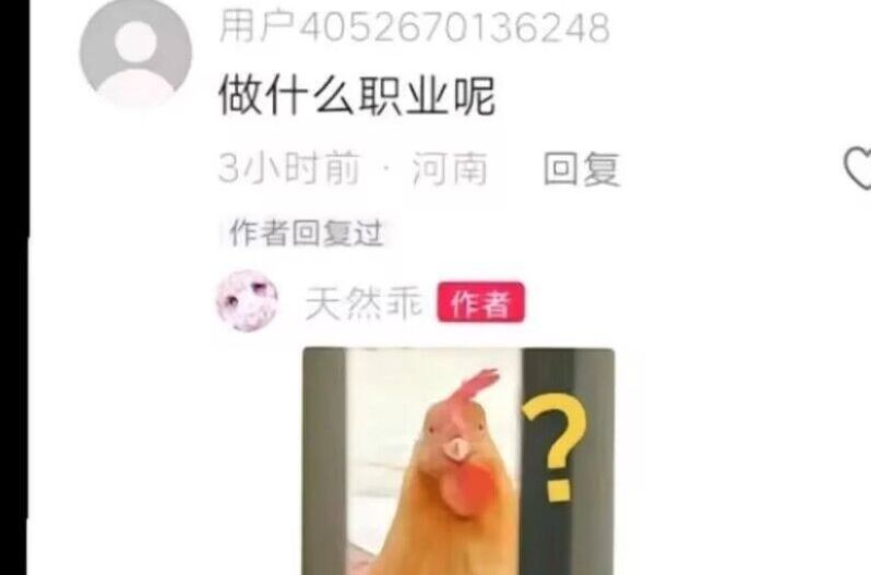 “做什么职业呢?“𐟐””——互联网吊图合集205哔哩哔哩bilibili