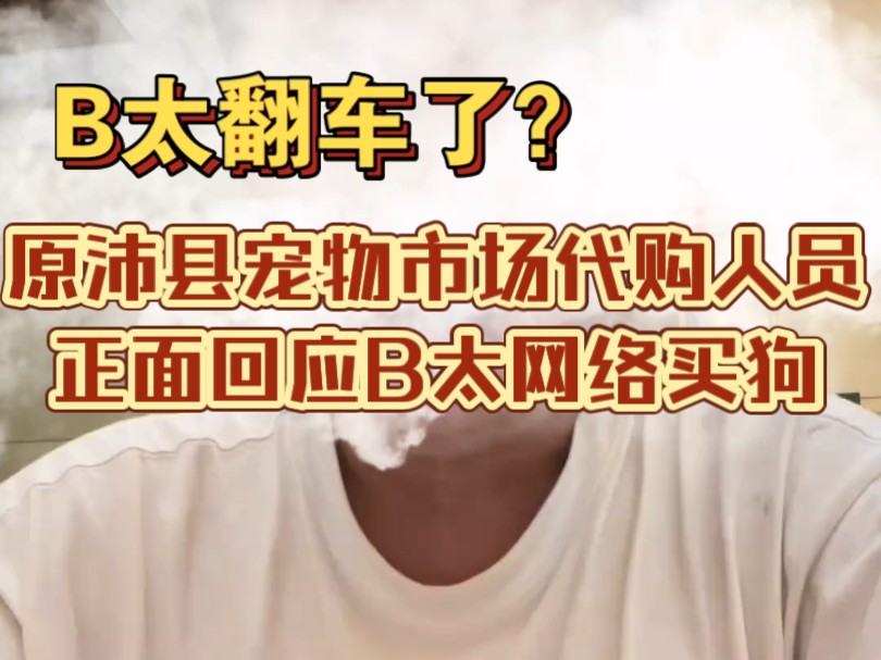 B太翻车了?原沛县宠物市场代购人员正面回应B太网络买狗哔哩哔哩bilibili