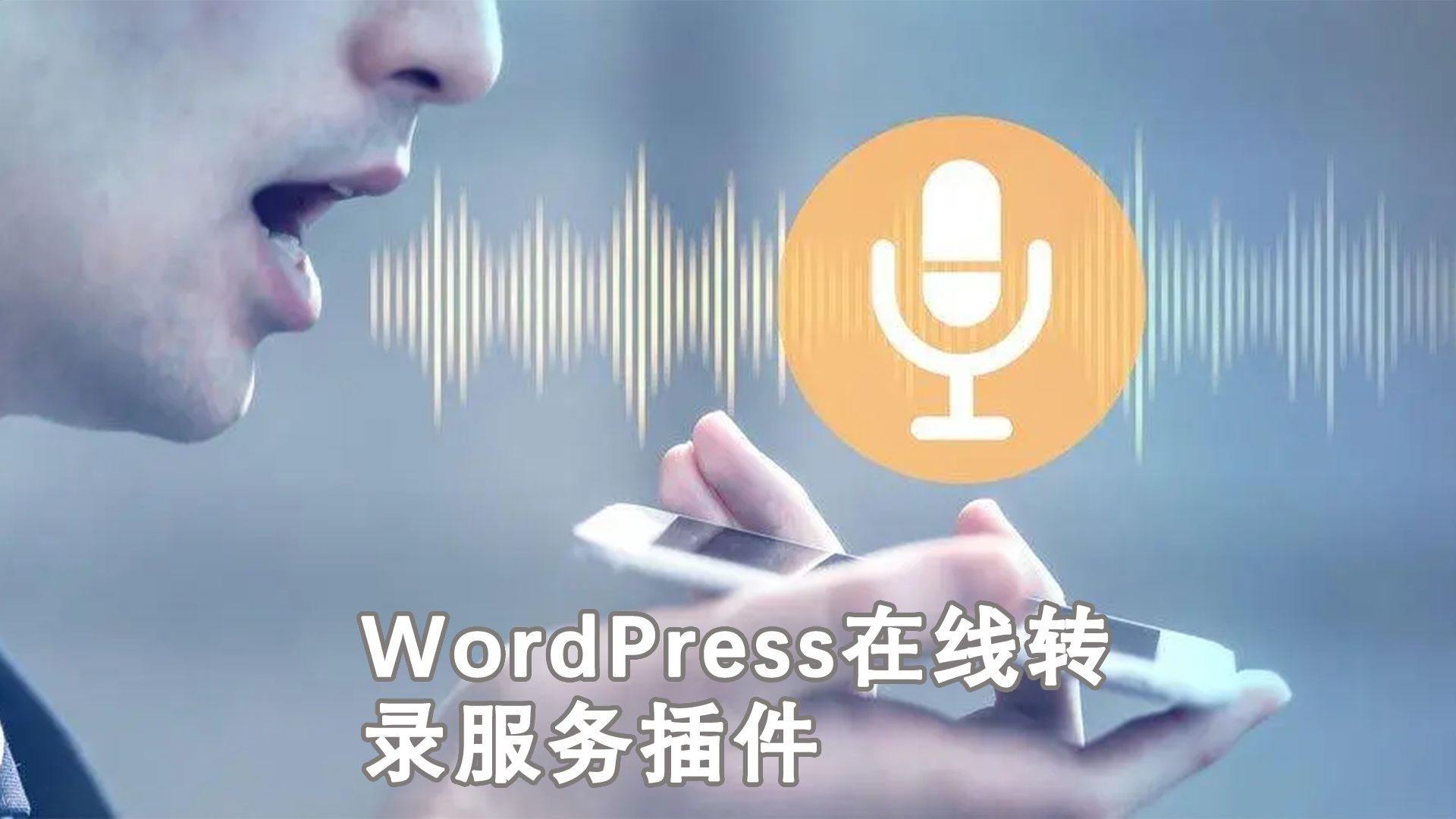 WordPress语音转录服务插件有哪些?哔哩哔哩bilibili