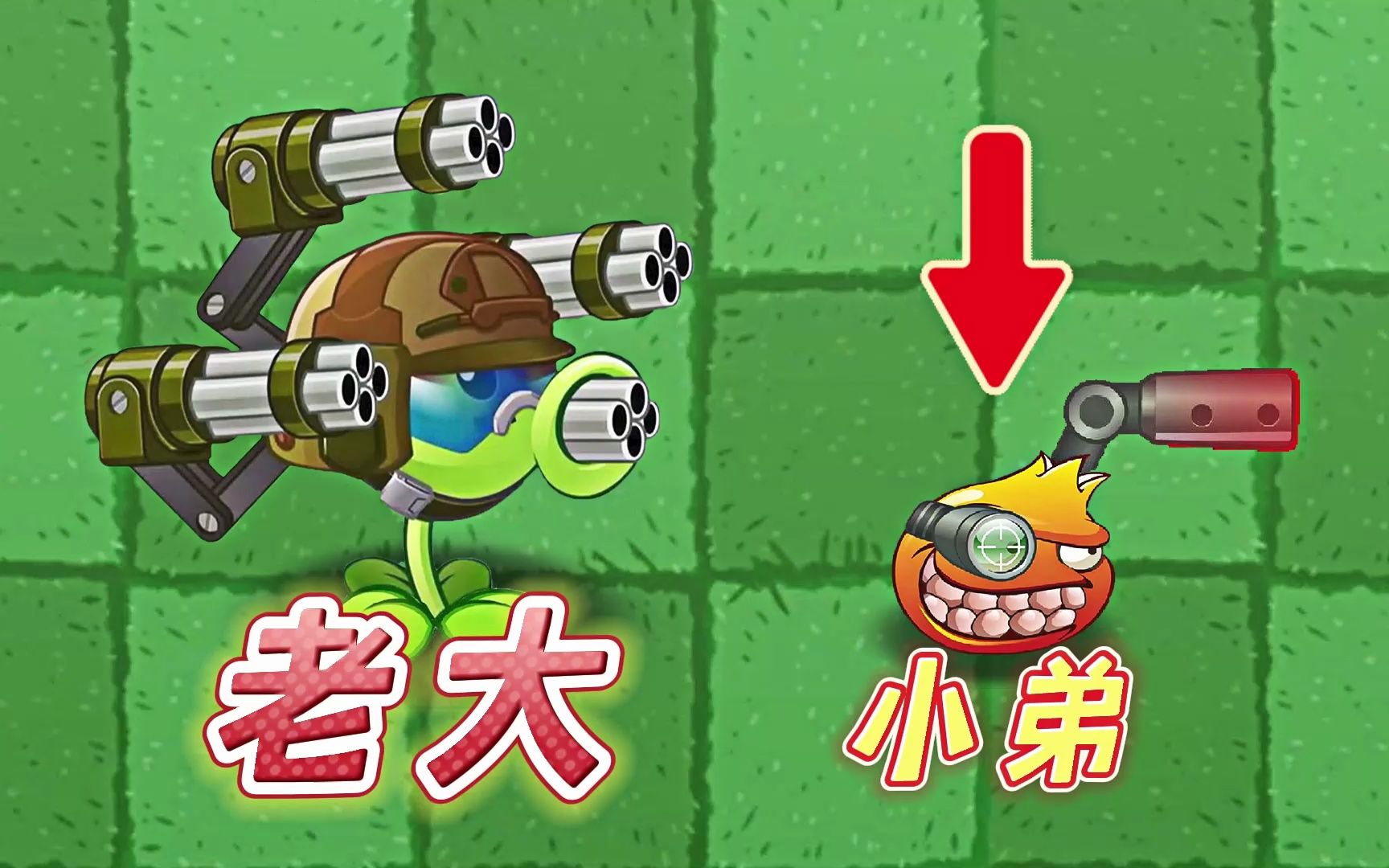 植物大战僵尸2:机枪豌豆的老弟,用嘴攻击的石榴!