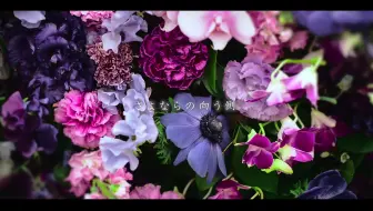 Mv Ms Ooja 最后的雨 最後の雨 哔哩哔哩 Bilibili