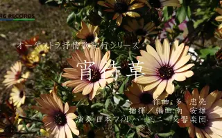 多忠亮 哔哩哔哩 Bilibili