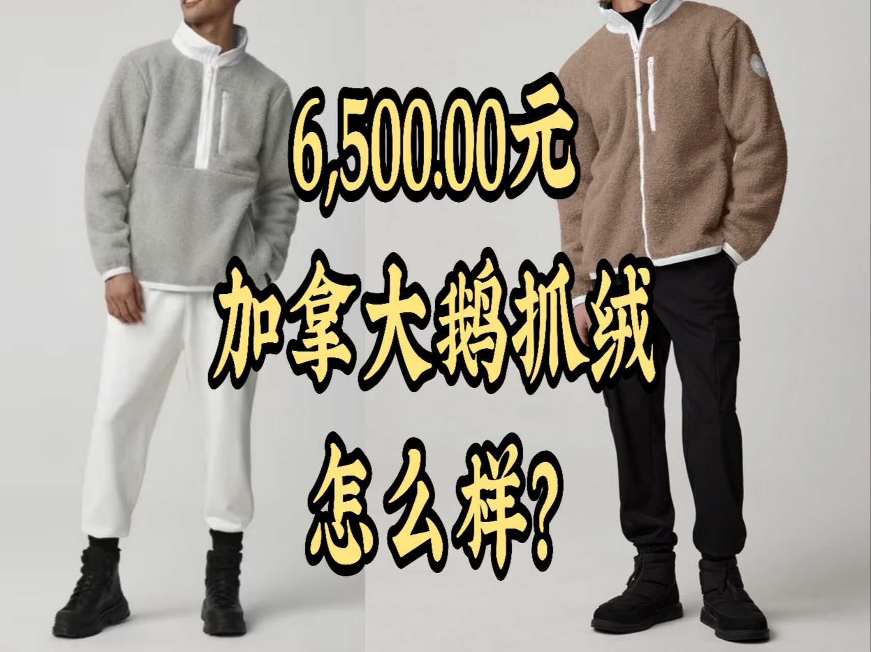 /Simon/6500元!加拿大鹅抓绒怎么样?哔哩哔哩bilibili