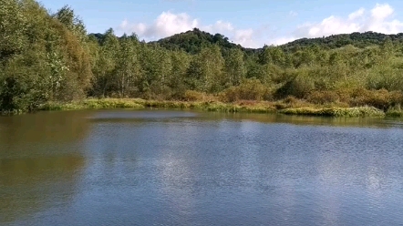 关注我,看深山里的美景,黑龙江省伊春市双丰林业局保林河林场,美景如画!哔哩哔哩bilibili